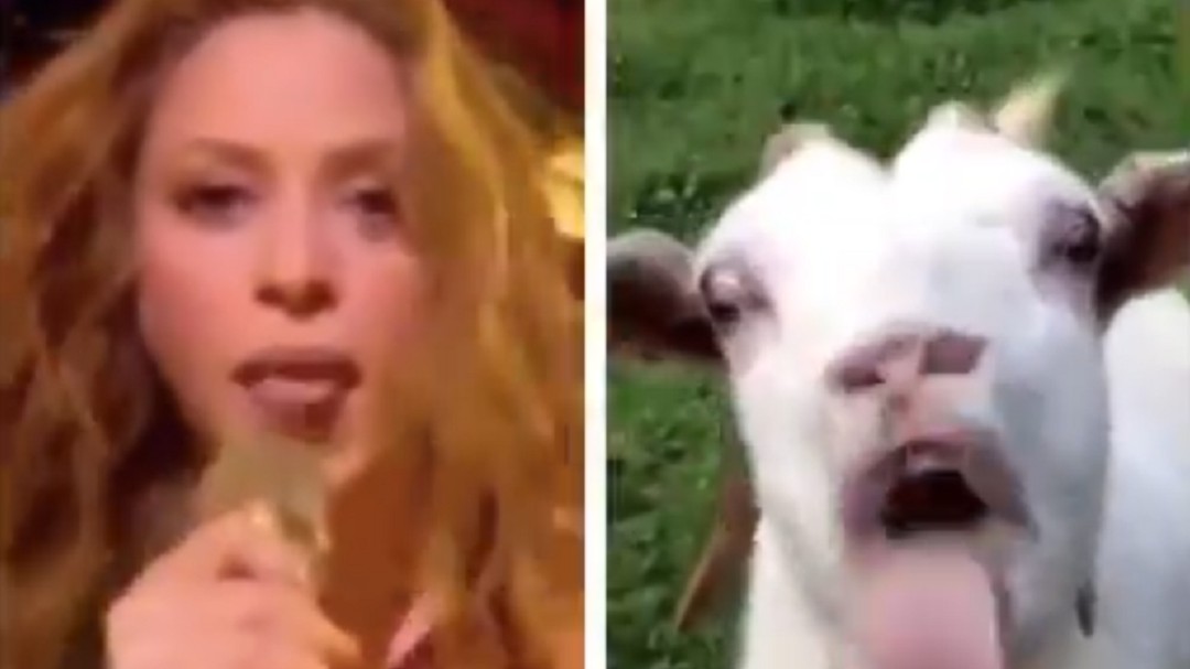 Los mejores memes de la Super Bowl 2020: de la lengua de Shakira al vestuario de Bad Bunny
