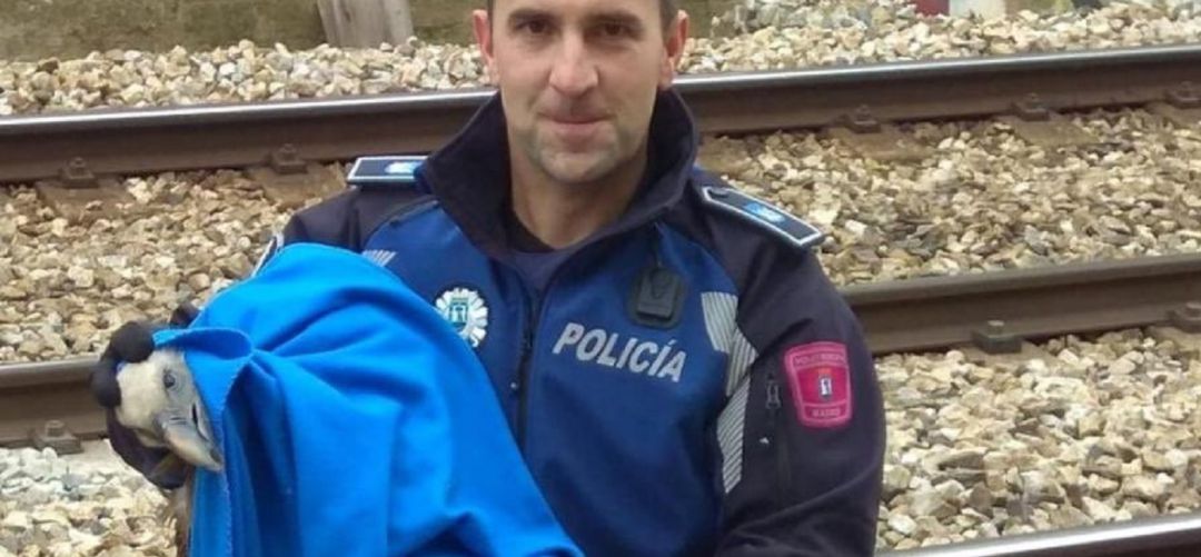 Agente que efectuó el rescate Agente que efectuó el rescate