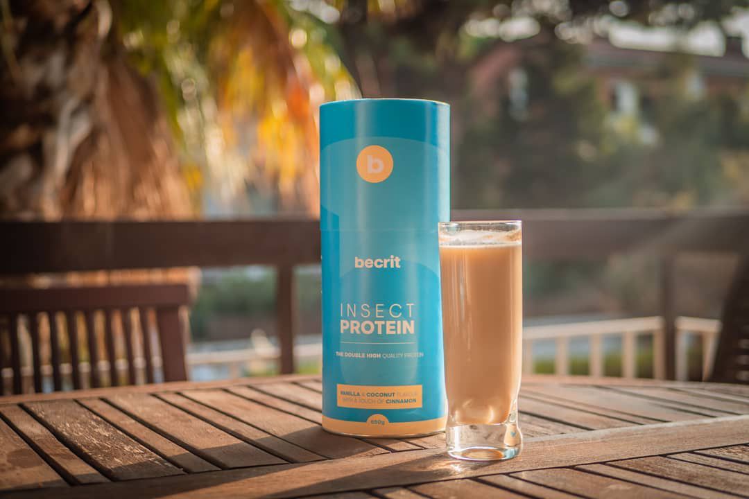 Batido con proteína de insecto y sabor a vainilla. Batido con proteína de insecto y sabor a vainilla.