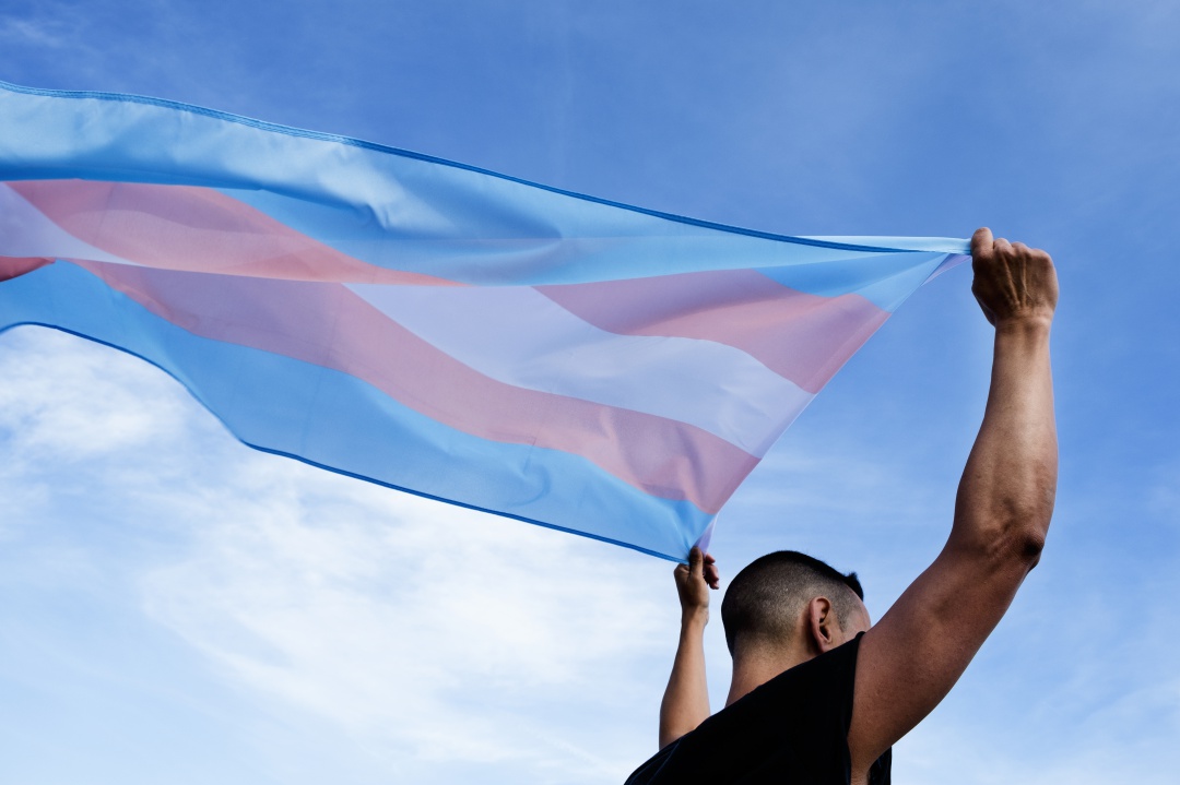 La bandera que representa al colectivo de personas trans La bandera que representa al colectivo de personas trans