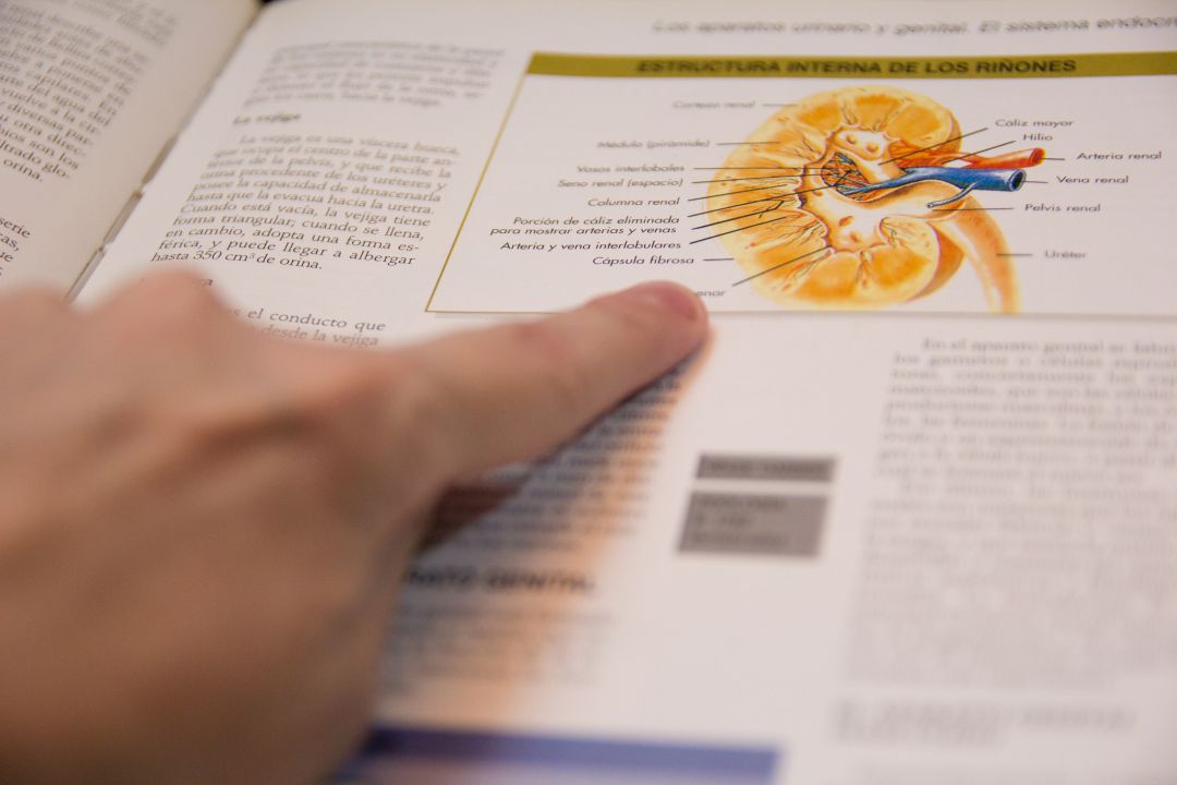 Libros de texto Libros de texto
