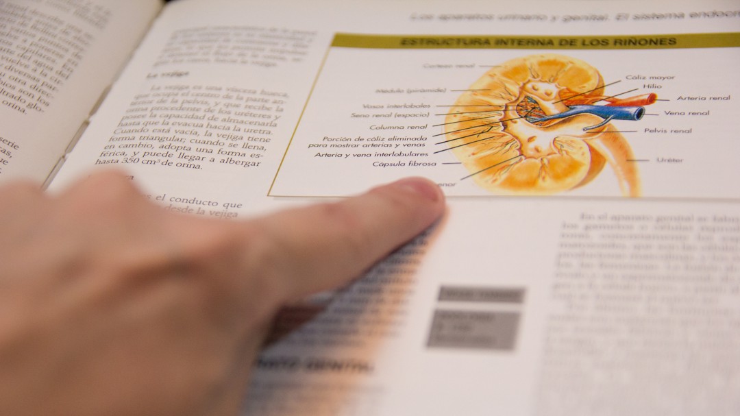 Educación aportará el próximo curso 90 millones para gratuidad de libros