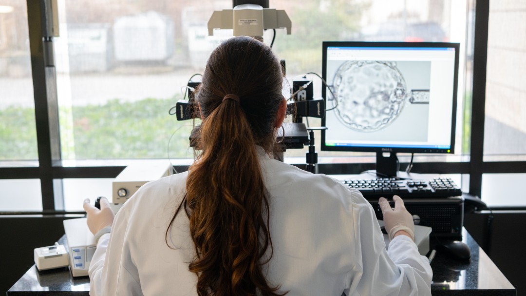 El Comité de Bioética recomienda que los donantes de semen y óvulos dejen de ser anónimos