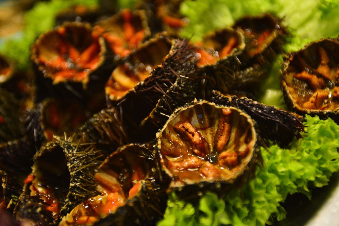 Garoines obertes Garoines obertes