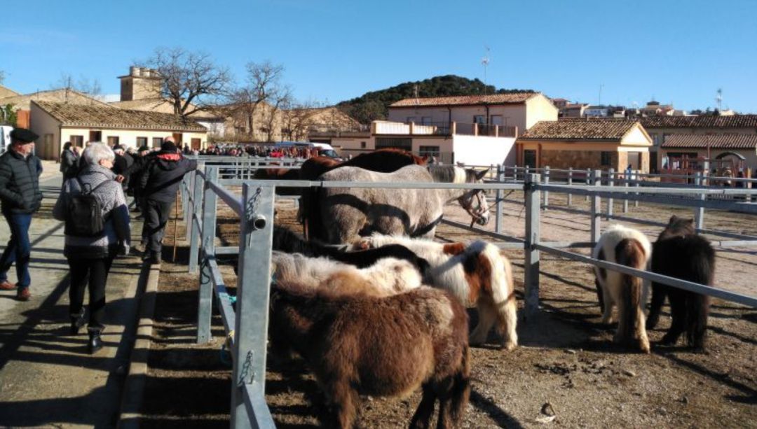 Feria Caballar en Tafalla Feria Caballar en Tafalla
