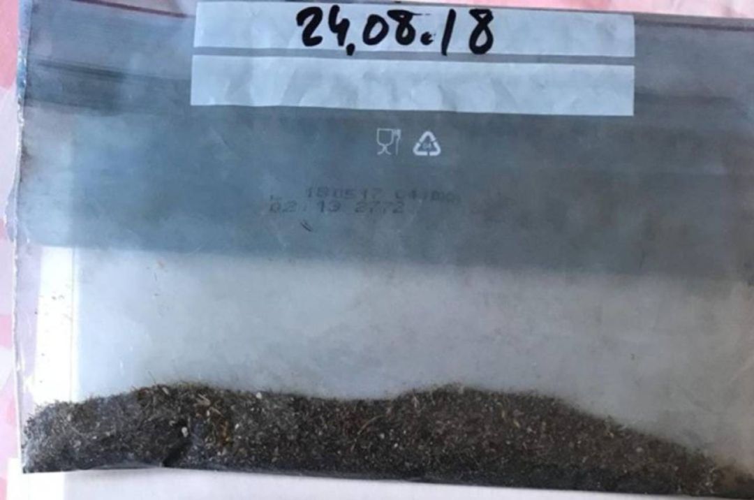 Muestras del 'polvo negro' recogidas en la zona de Fuente Berrocal Muestras del 'polvo negro' recogidas en la zona de Fuente Berrocal