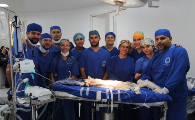 Todo el equipo médico que operó a Romeo. Todo el equipo médico que operó a Romeo.