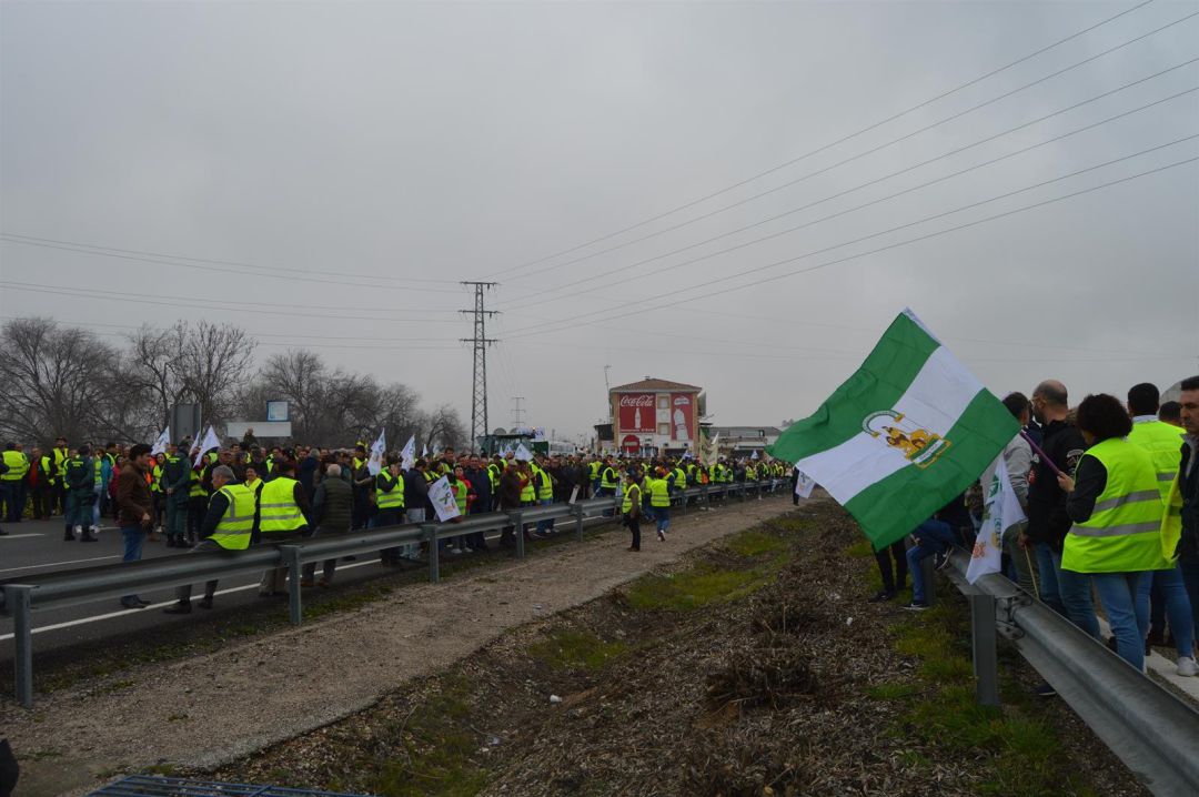 Protesta de losolivareros en la A-4 , a su paso por Andújar Protesta de losolivareros en la A-4 , a su paso por Andújar