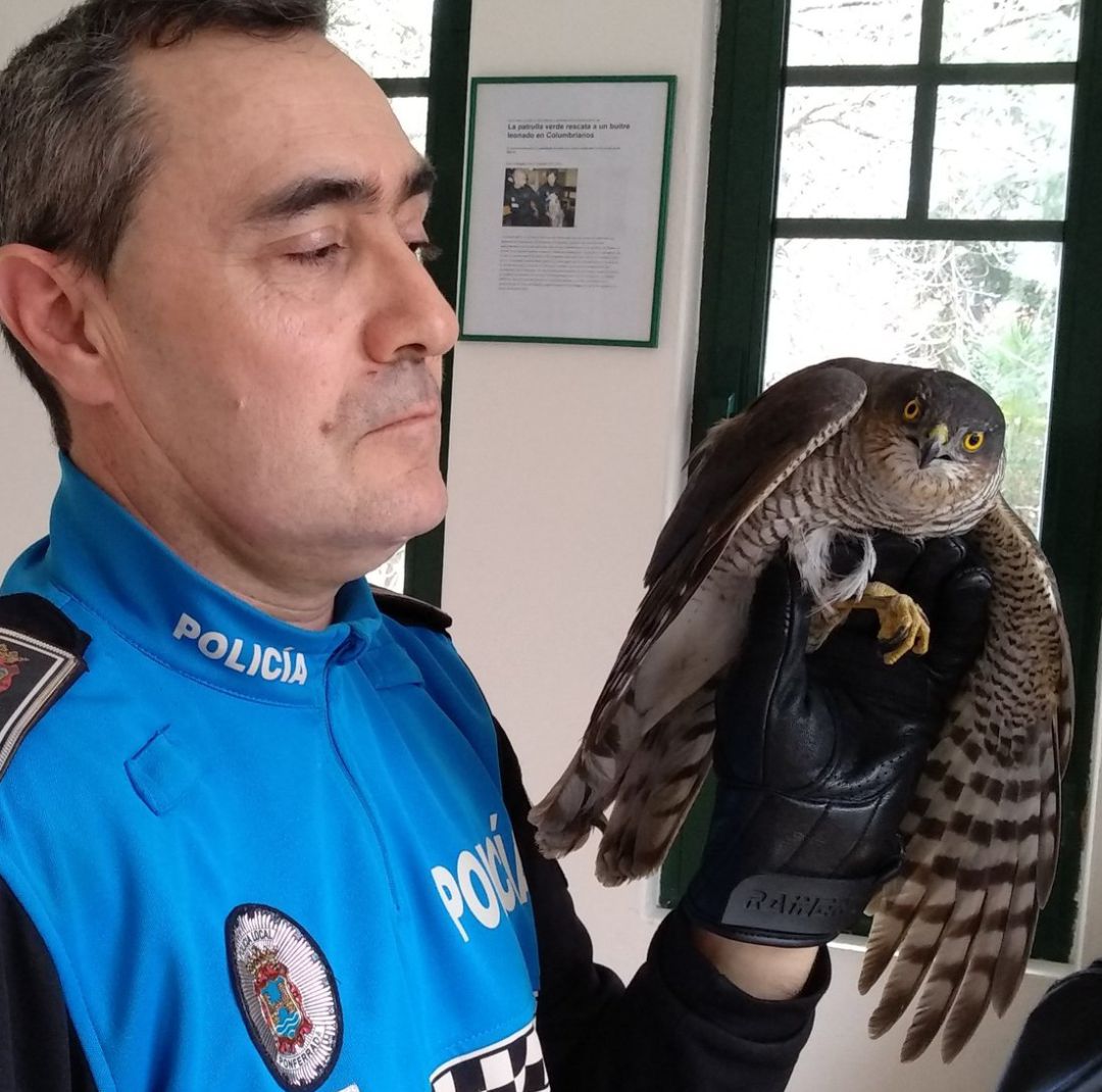 El animal ya ha sido devuelto a su hábitat El animal ya ha sido devuelto a su hábitat