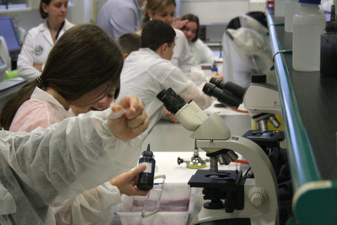 Talleres de ciencia en la UJA. Talleres de ciencia en la UJA.