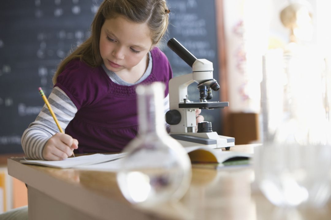 Día Internacional de la Mujer y la Niña en la Ciencia 2020 Día Internacional de la Mujer y la Niña en la Ciencia 2020