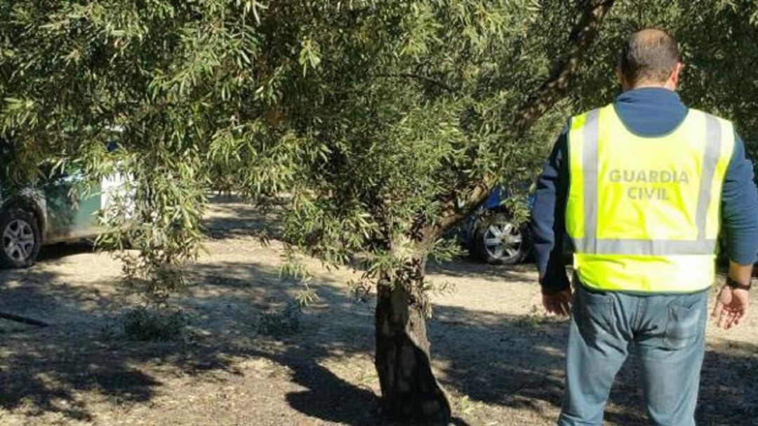 Muere un hombre tras el vuelco de un tractor en Martos