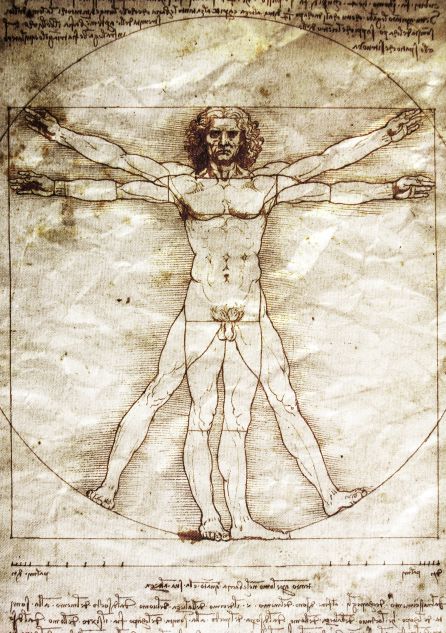El dibujo de Da Vinci 'El hombre de Vitrubio'. El dibujo de Da Vinci 'El hombre de Vitrubio'.