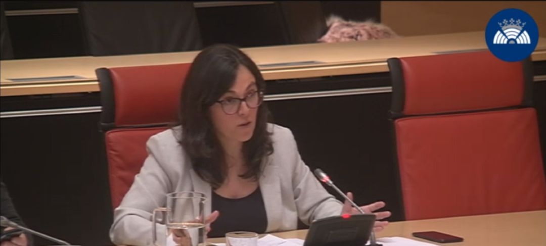 Laura Domínguez, procuradora de Podemos en las Cortes de Castilla y León Laura Domínguez, procuradora de Podemos en las Cortes de Castilla y León