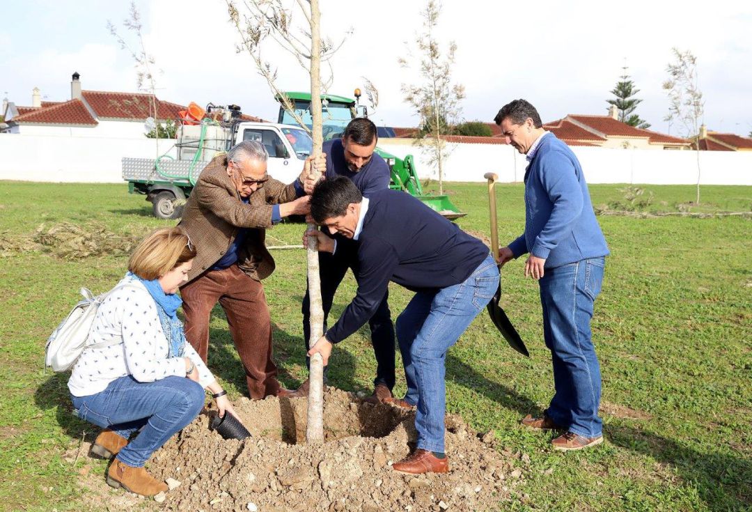 Uno de los momentos de la plantación en la Laguna de Torrox Uno de los momentos de la plantación en la Laguna de Torrox
