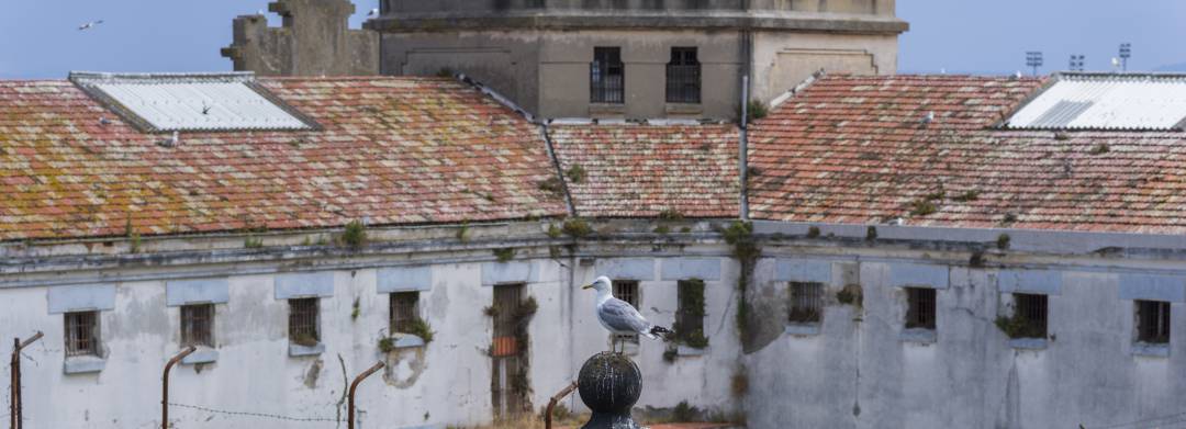 Cárcel de la Torre. A Coruña Cárcel de la Torre. A Coruña