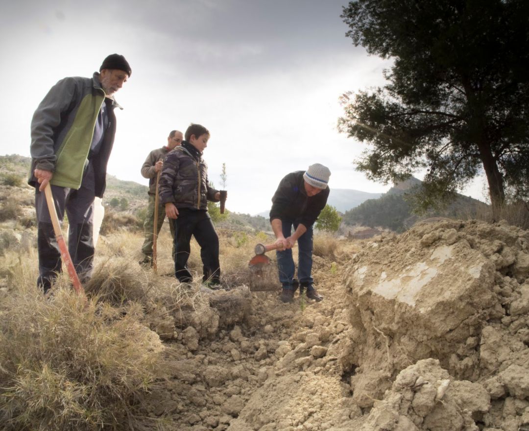Petrer celebra el Día del Arbol con la plantación de 800 especies Petrer celebra el Día del Arbol con la plantación de 800 especies