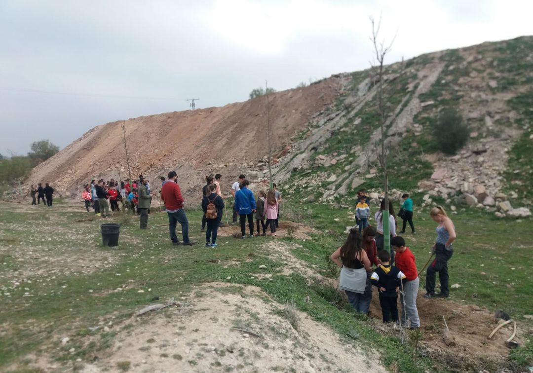 El Barranco de la Arena-Nacimiento: de una escombrera a un pequeño bosque