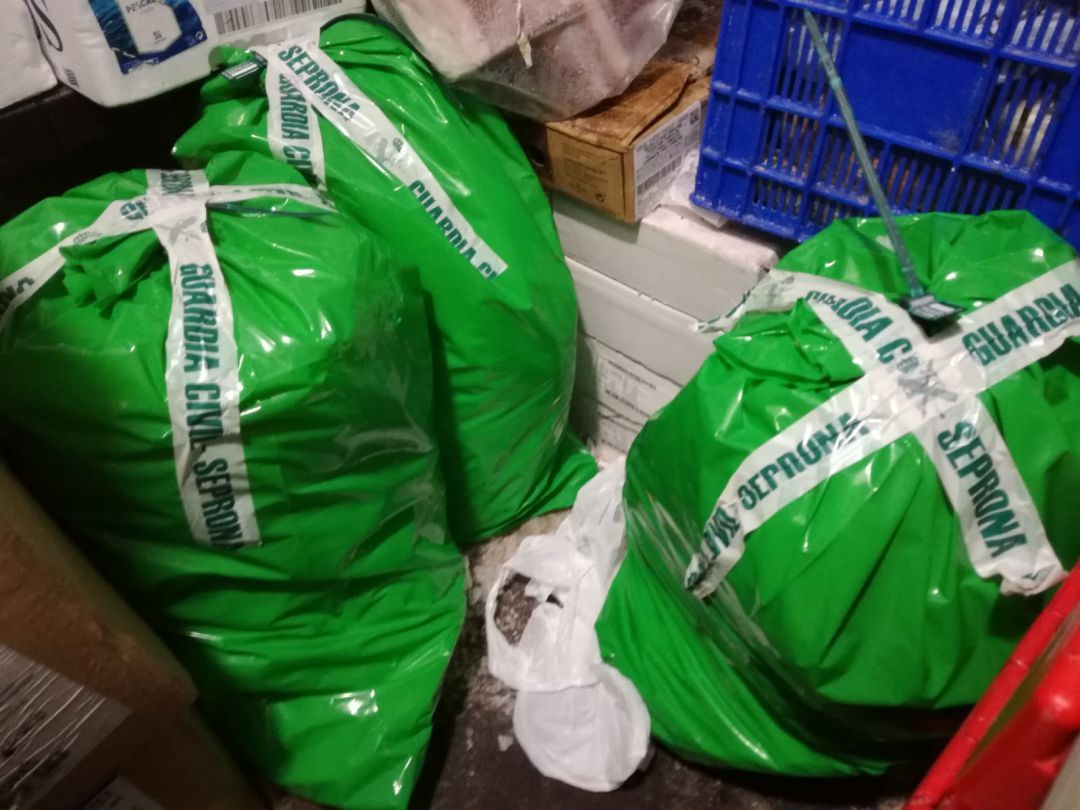 Productos incautados en el local inspeccionado en Úbeda Productos incautados en el local inspeccionado en Úbeda