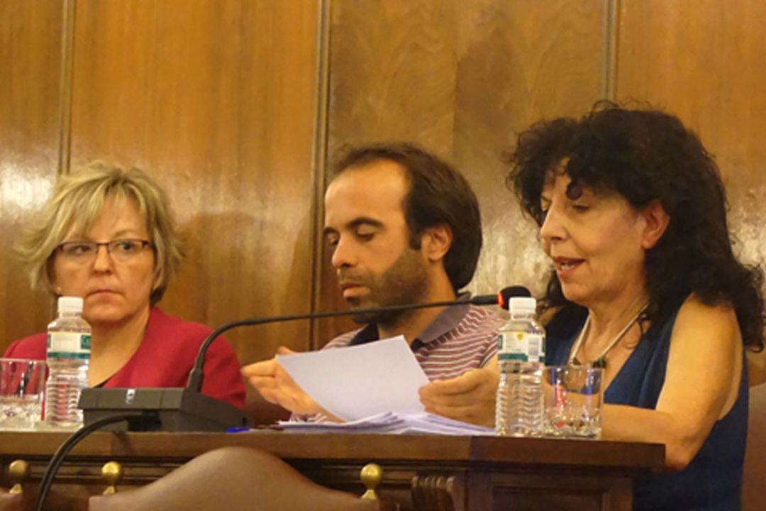 La portavoz de IU en la Diputación Provincial interviene en el pleno La portavoz de IU en la Diputación Provincial interviene en el pleno