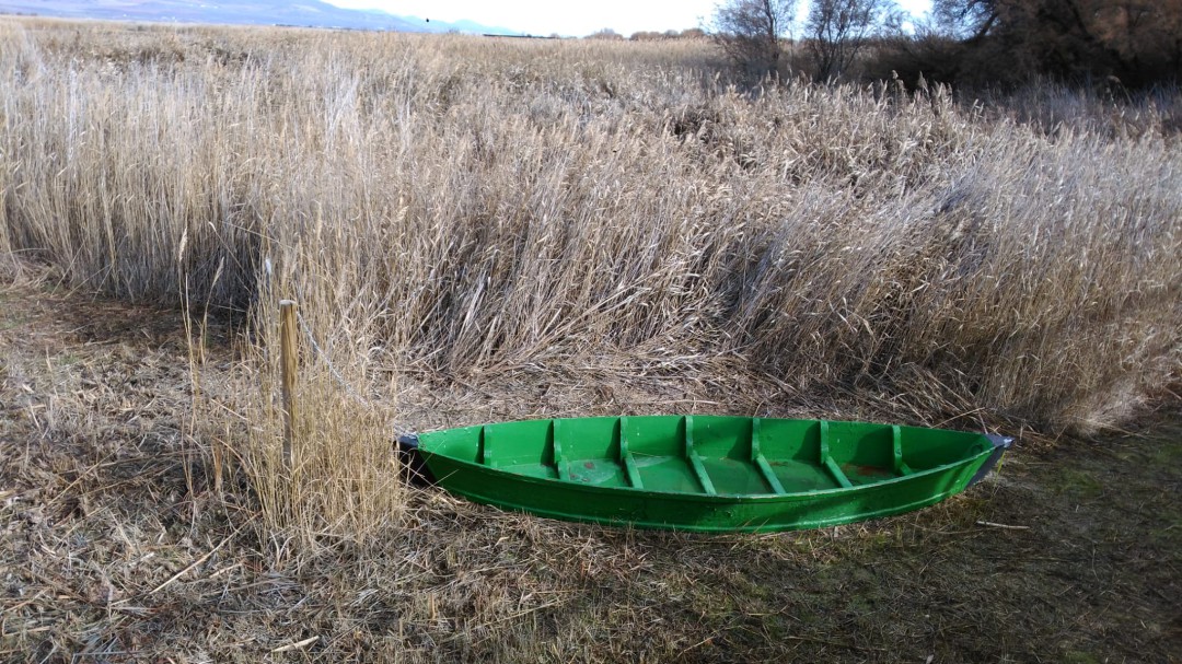 El Patronato de las Tablas apoya el trasvase por la Tubería Manchega
