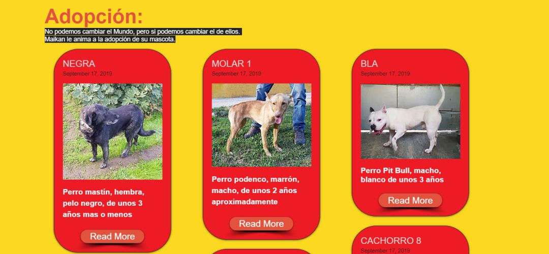 Cartel de 'Sanse adopta' Cartel de 'Sanse adopta'