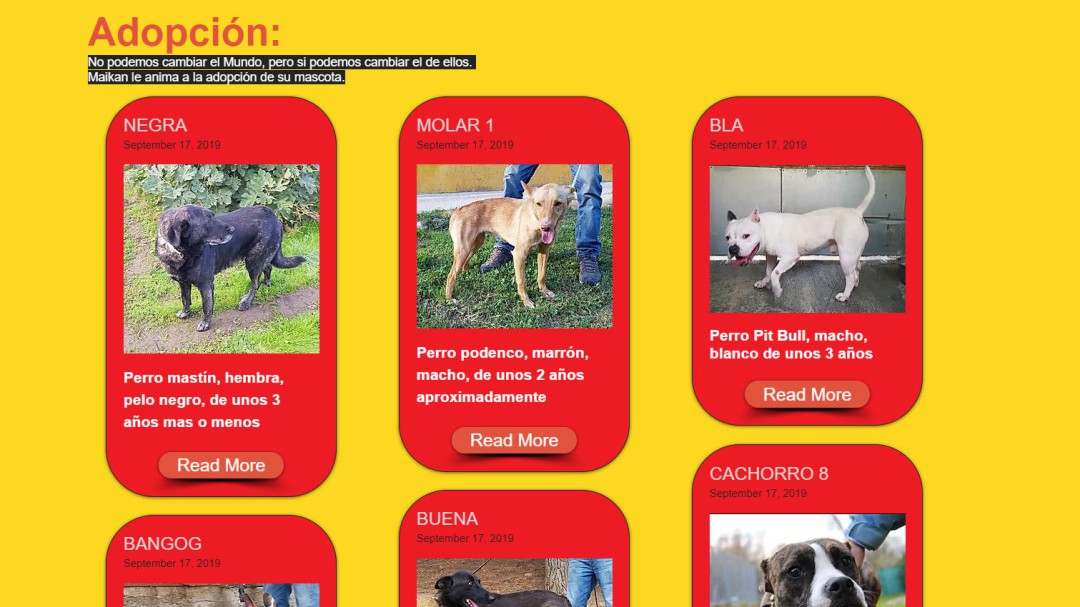 Uno de cada dos animales rescatados por el centro de referencia de Sanse aún no tiene quien lo adopte