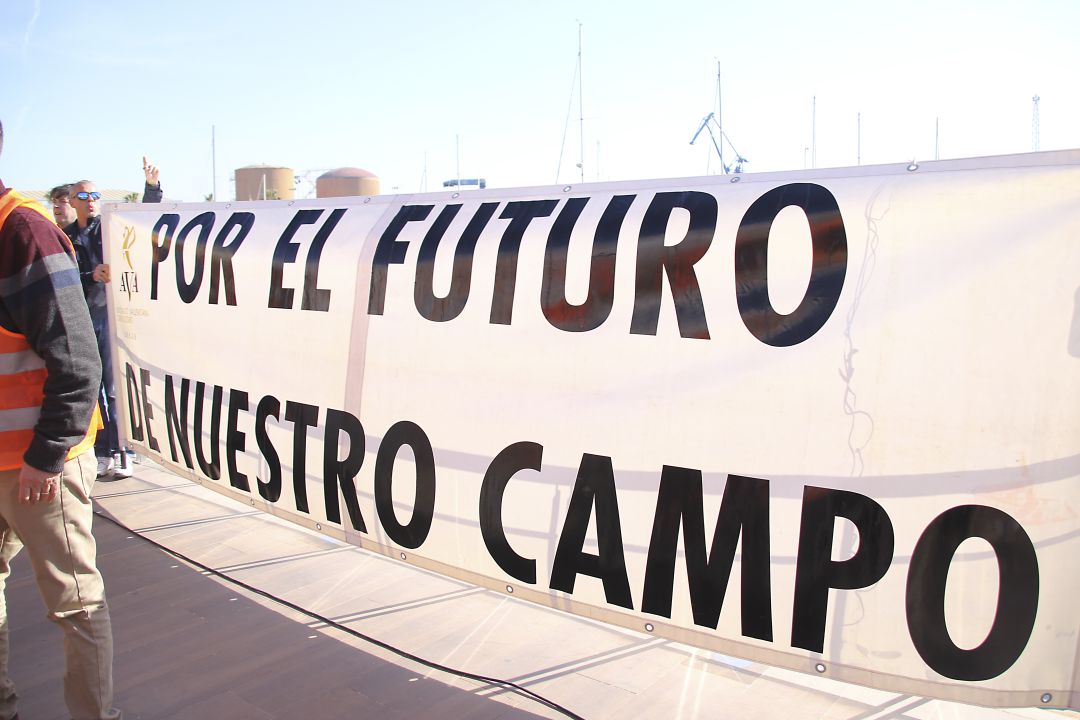 Movilización del sector citrícola en febrero de 2019 Movilización del sector citrícola en febrero de 2019