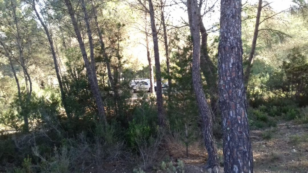 Los dos vehículos han acabado su persecución en esta zona boscosa Los dos vehículos han acabado su persecución en esta zona boscosa