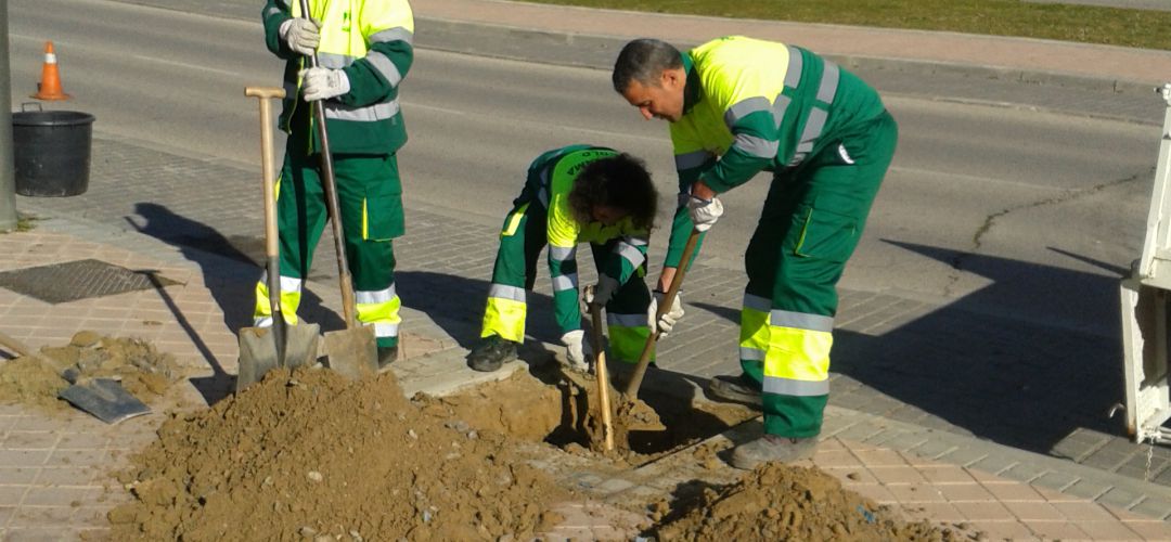 La Comunidad ha prorrogado las inversiones del PIR durante este año La Comunidad ha prorrogado las inversiones del PIR durante este año