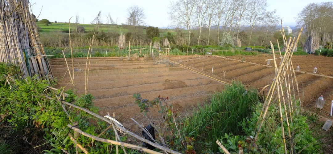 San Martín de la Vega quiere ser sede del 'Mercamadrid rural' San Martín de la Vega quiere ser sede del 'Mercamadrid rural'