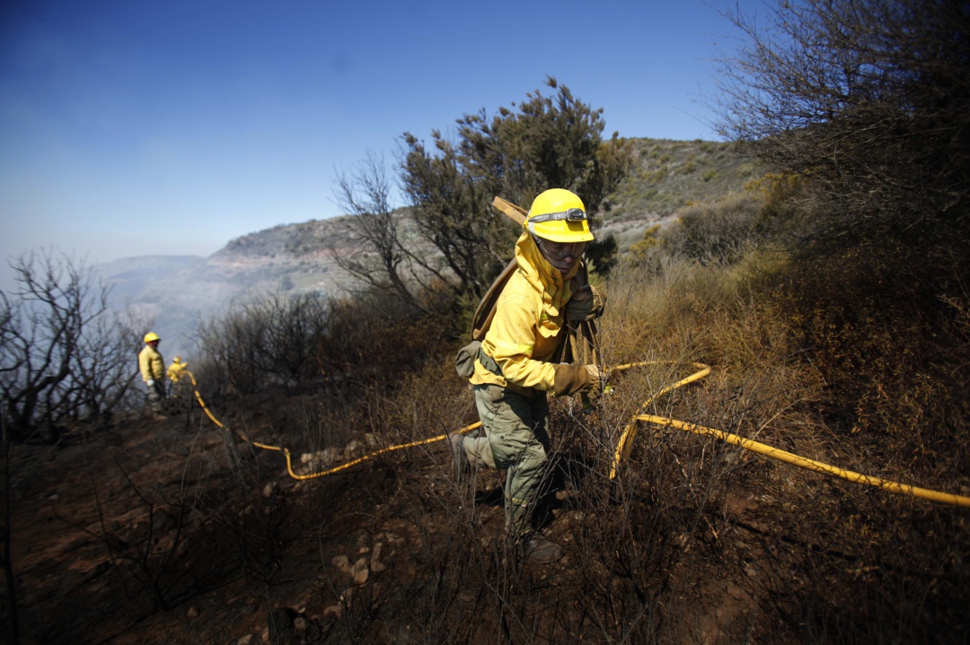 Miembros del equipo de Brifor, los bomberos forestales de Tenerife, durante una actuación en los bosques de la isla Miembros del equipo de Brifor, los bomberos forestales de Tenerife, durante una actuación en los bosques de la isla