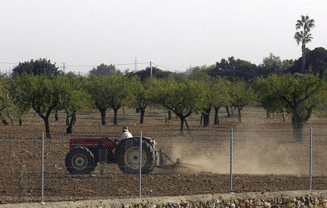 Un hombre trabaja con un tractor en una finca agraria Un hombre trabaja con un tractor en una finca agraria