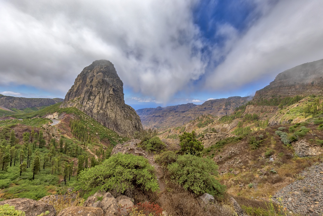 Parque Nacional de Garajonay, ubicado en la isla de La Gomera, cuyo director se jubilará en poco tiempo sin un relevo claro Parque Nacional de Garajonay, ubicado en la isla de La Gomera, cuyo director se jubilará en poco tiempo sin un relevo claro