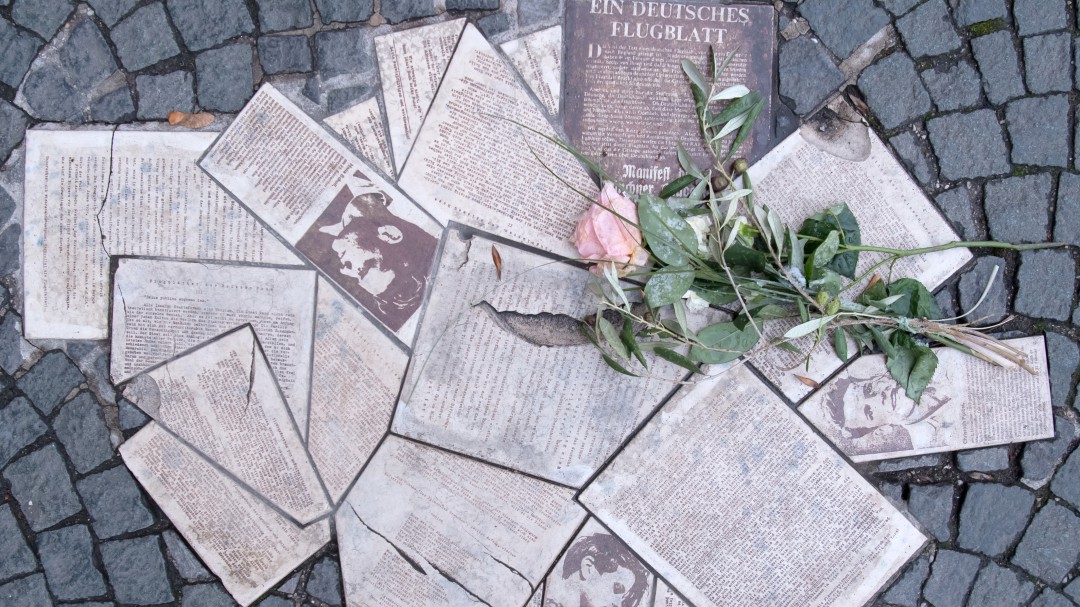 La libertad que defendió la 'Rosa Blanca'