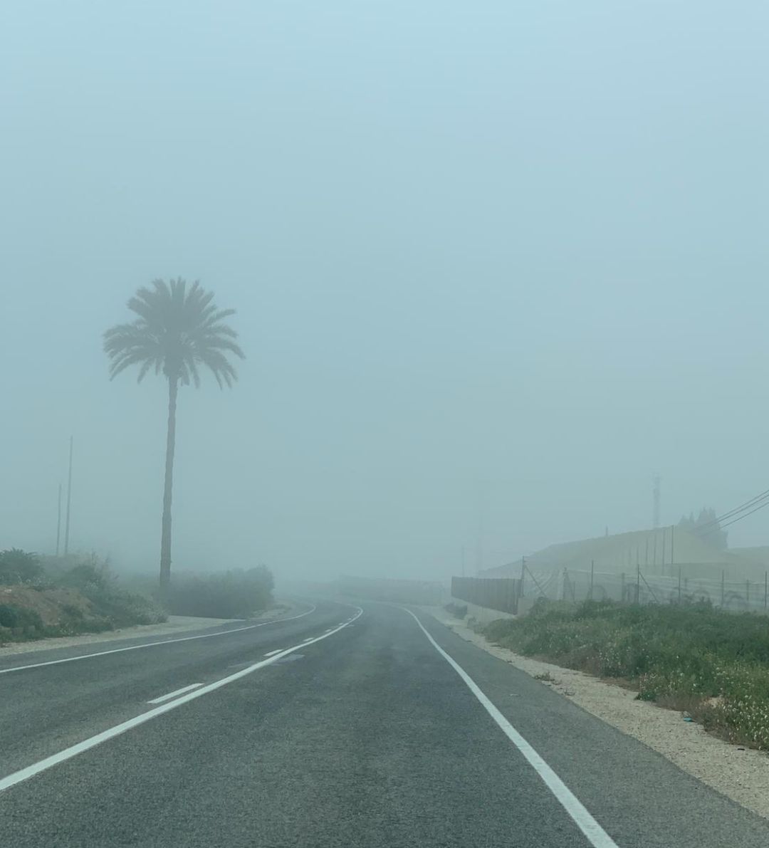 Niebla en la carretera Niebla en la carretera