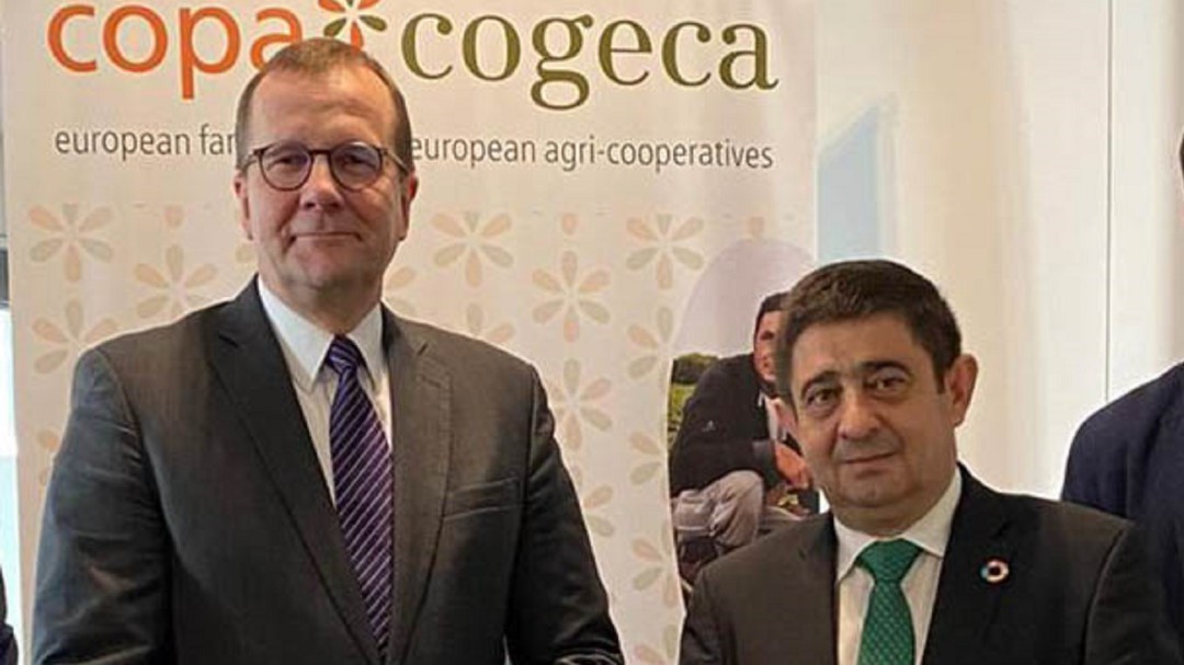 Reunión en Bruselas para abordar la situación del aceite