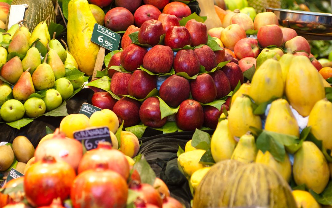 Los agricultores y ganaderos piden precios justos para sus productos Los agricultores y ganaderos piden precios justos para sus productos