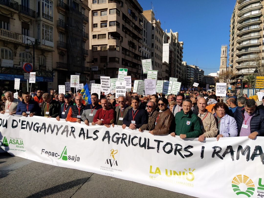 Els Manifestants als carrers de València Els Manifestants als carrers de València