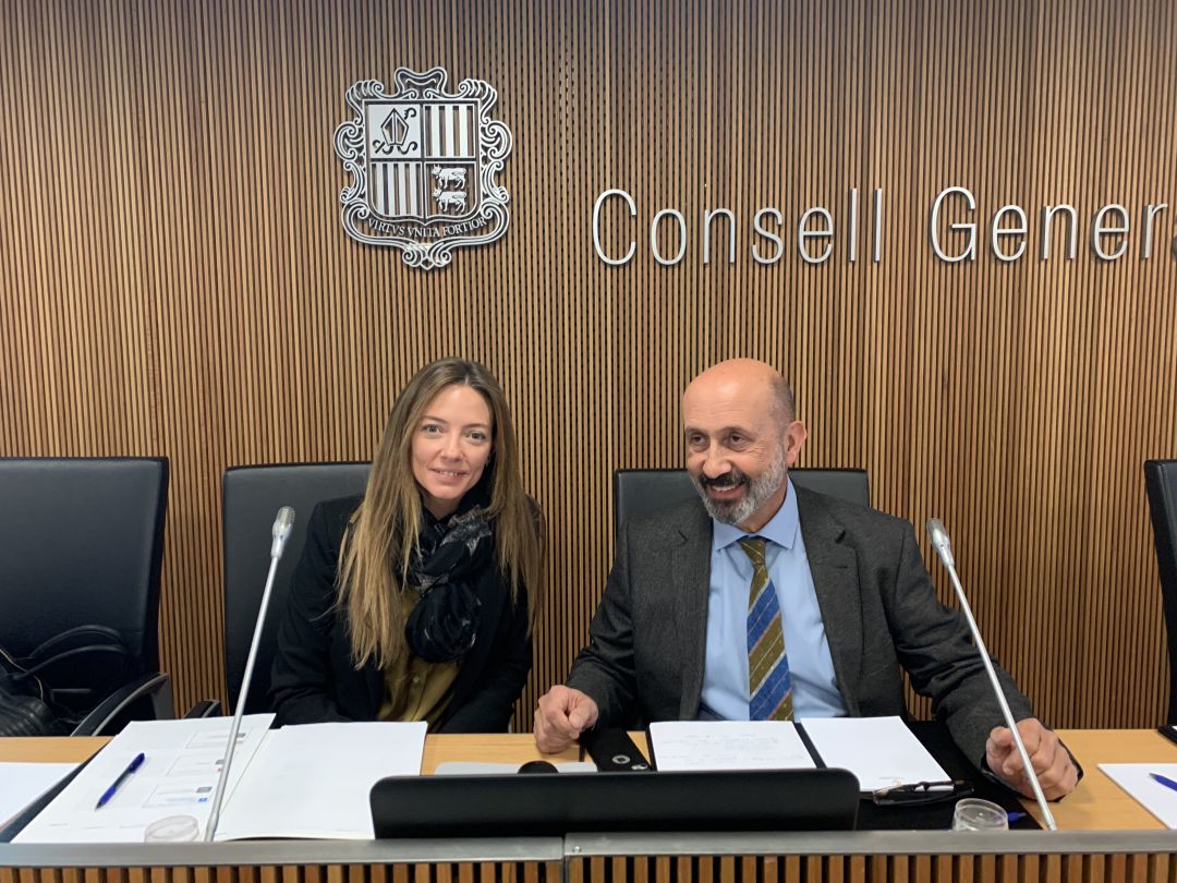 Compareixença al Consell General del ministre de Salut i de la secretària d'Estat. Compareixença al Consell General del ministre de Salut i de la secretària d'Estat.