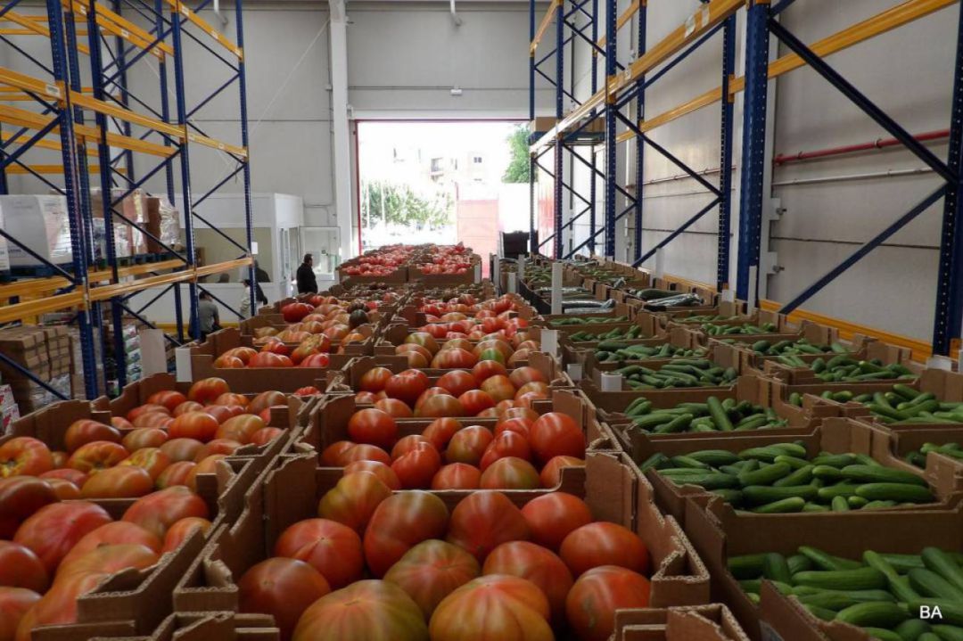 Empresas traen alimentos de Marruecos, cambian las etiquetas y los venden como almerienses. Empresas traen alimentos de Marruecos, cambian las etiquetas y los venden como almerienses.