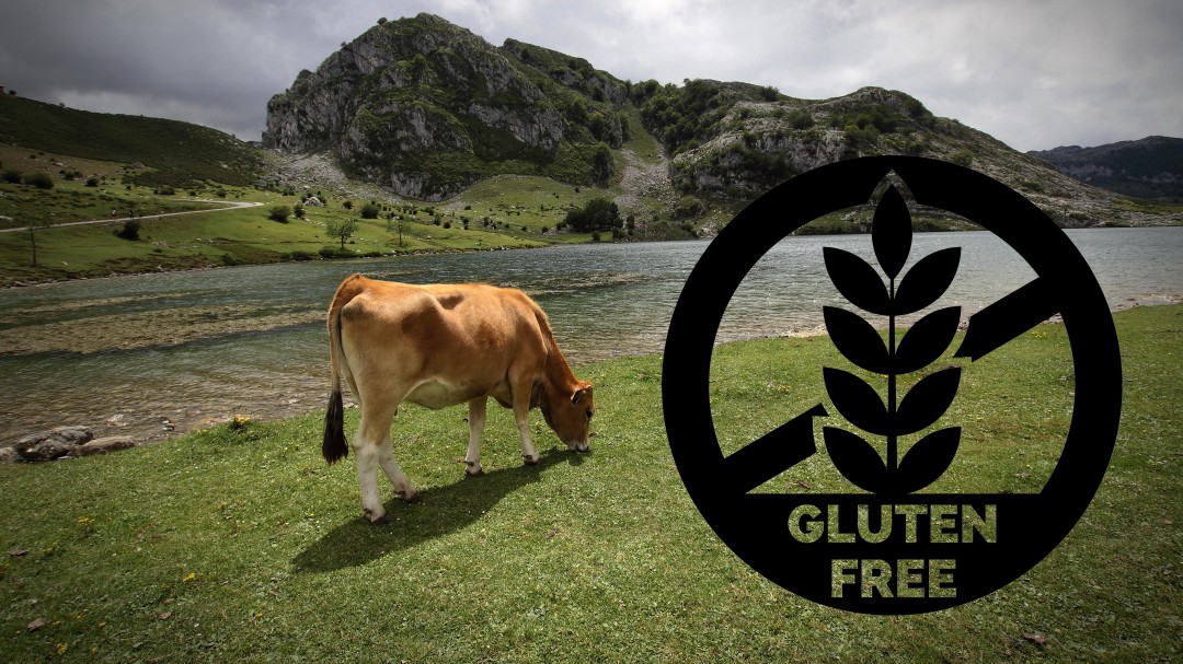 El paraíso de los celiacos: una localidad 100% libre de gluten