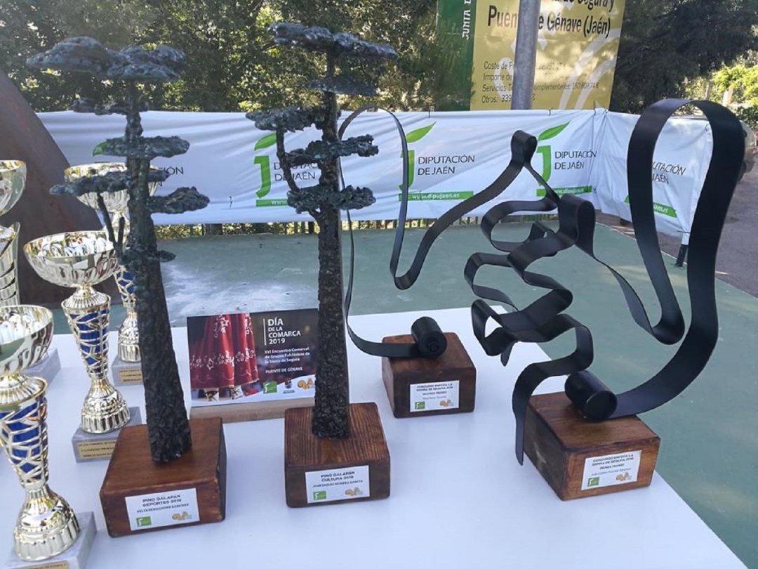 Trofeos de los premios que se entregaron el pasado año en la fiesta del Día de la Comarca Trofeos de los premios que se entregaron el pasado año en la fiesta del Día de la Comarca