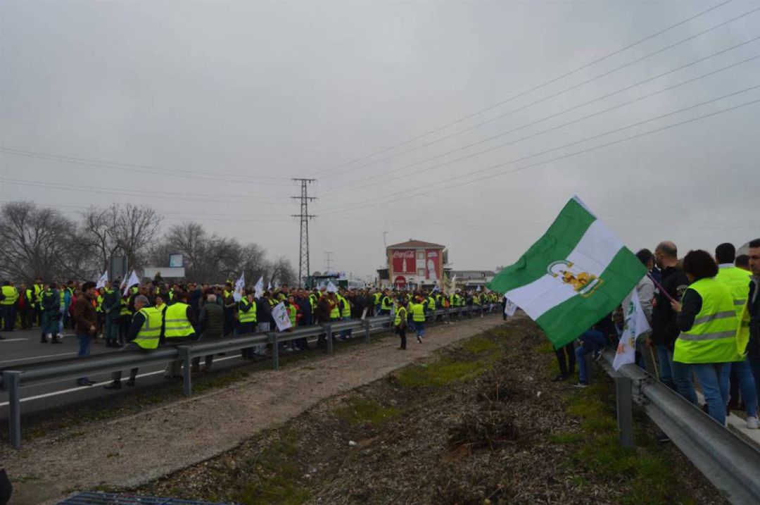 Protesta de losolivareros en la A-4 , a su paso por Andújar Protesta de losolivareros en la A-4 , a su paso por Andújar