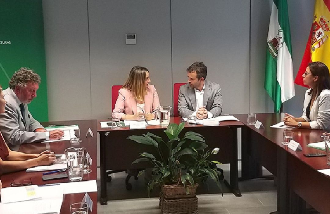 La consejera de Fomento, Marifrán Carazo, y el alcalde de Jaén, Julio Millán, en una reunión anterior de la Comisión del Tranvía. La consejera de Fomento, Marifrán Carazo, y el alcalde de Jaén, Julio Millán, en una reunión anterior de la Comisión del Tranvía.