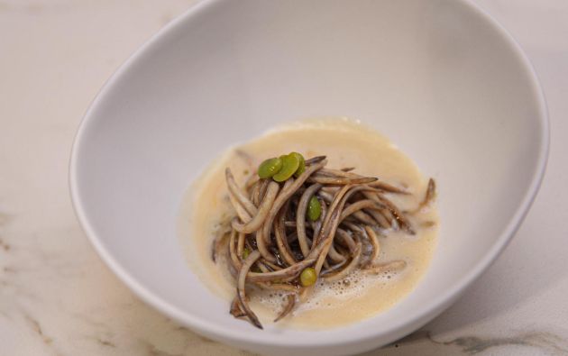Angulas en sopa de ajo y chufa (Santceloni). Angulas en sopa de ajo y chufa (Santceloni).