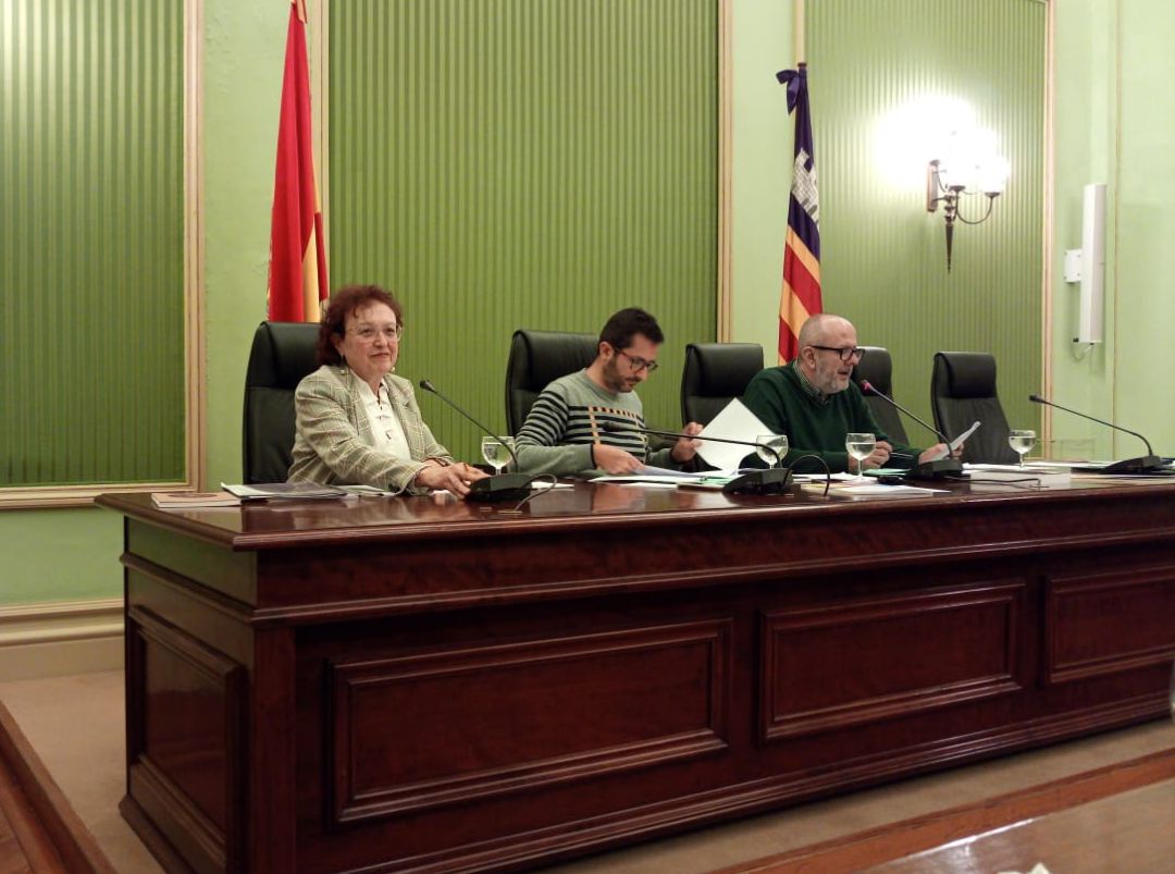 Comparecencia de la directora del IBDona, Maria Duran. Comparecencia de la directora del IBDona, Maria Duran.