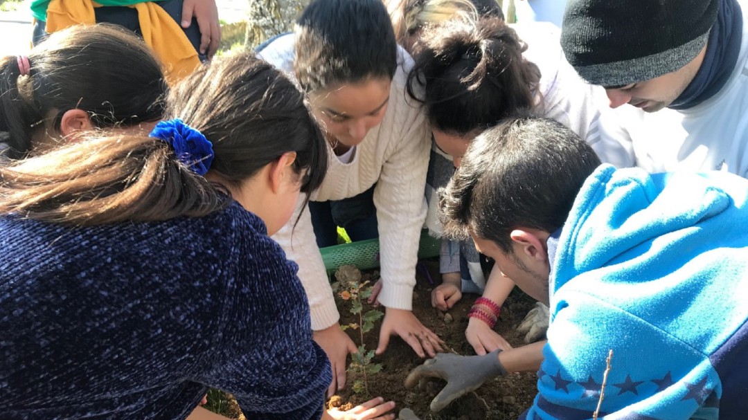Alumnos del colegio de Paredes de Nava plantan 150 árboles en los entornos de Carejas