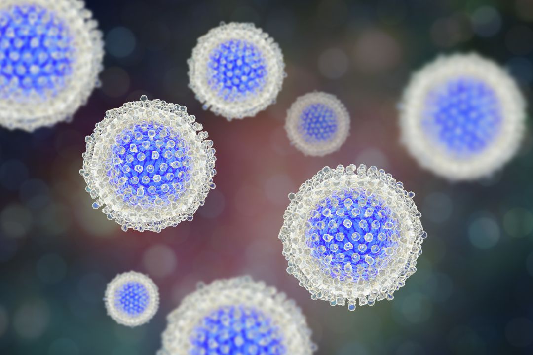 Virus de la Hepatitis C Virus de la Hepatitis C