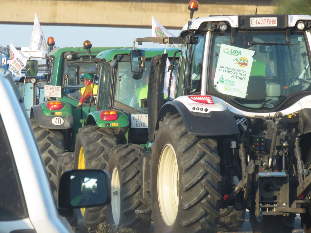 Participantes en la tractorada de Lucena Córdoba Participantes en la tractorada de Lucena Córdoba